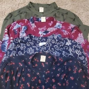 Long Sleeved Button Down Shirts